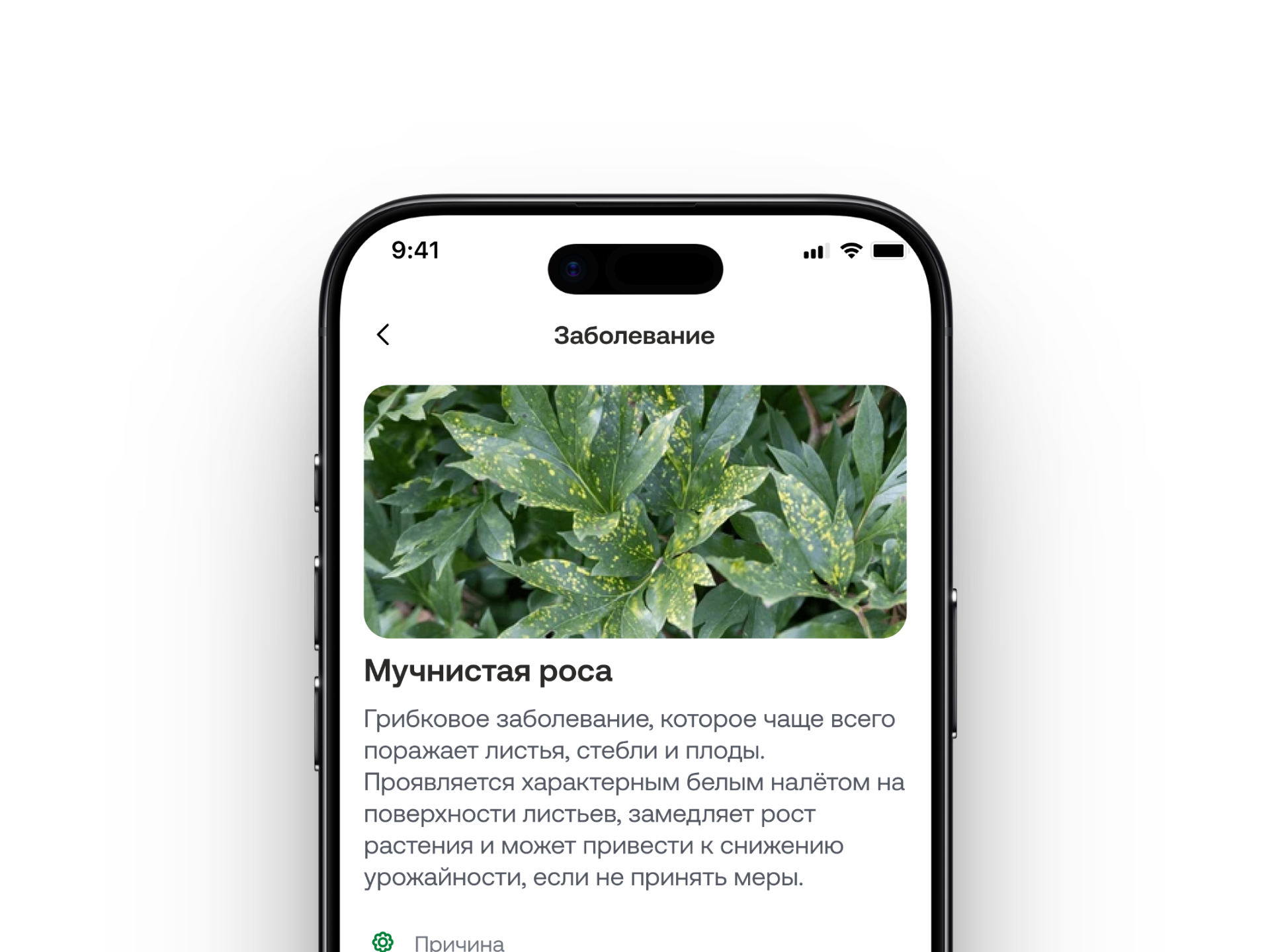 Instant Disease Diagnostics interface